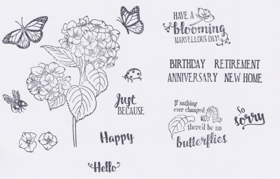 Hydrangea Stamp Set Hydrangea Stamp Set