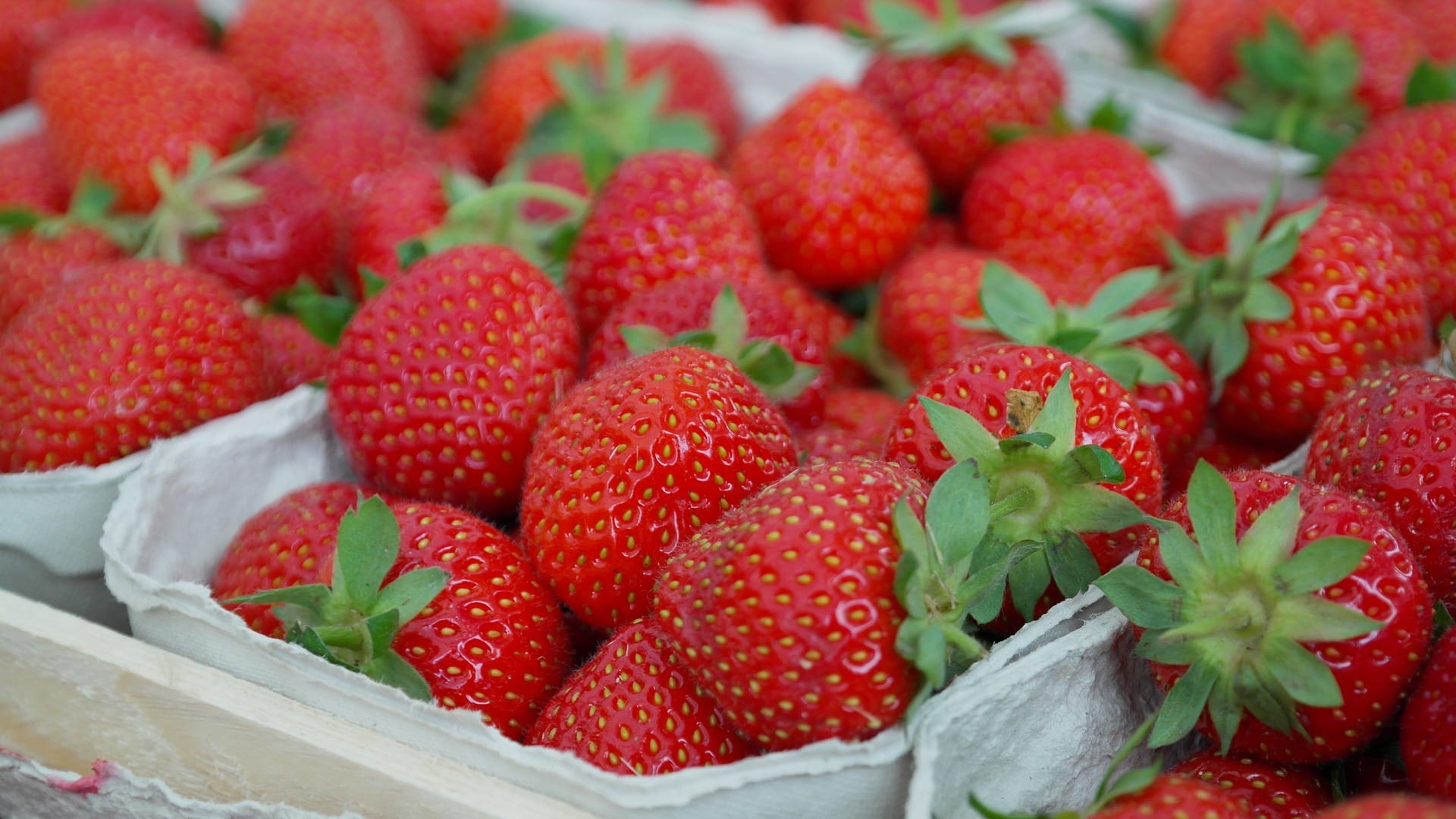 Living Creatively with Fibro | Strawberries