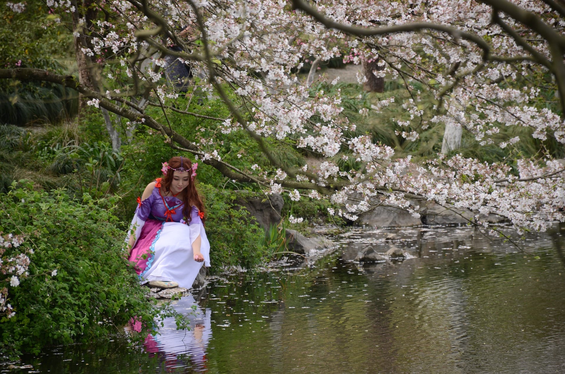 Living Creatively with Fibro | Fairies of Spring