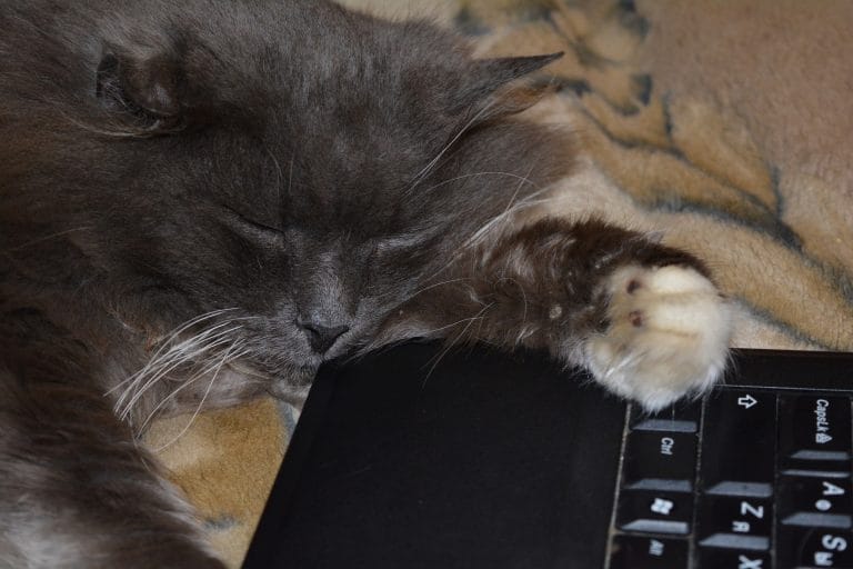 Fibromyalgia is not just Fibromyalgia! 2 Living Creatively with Fibro | Fibromyalgia Fatigue