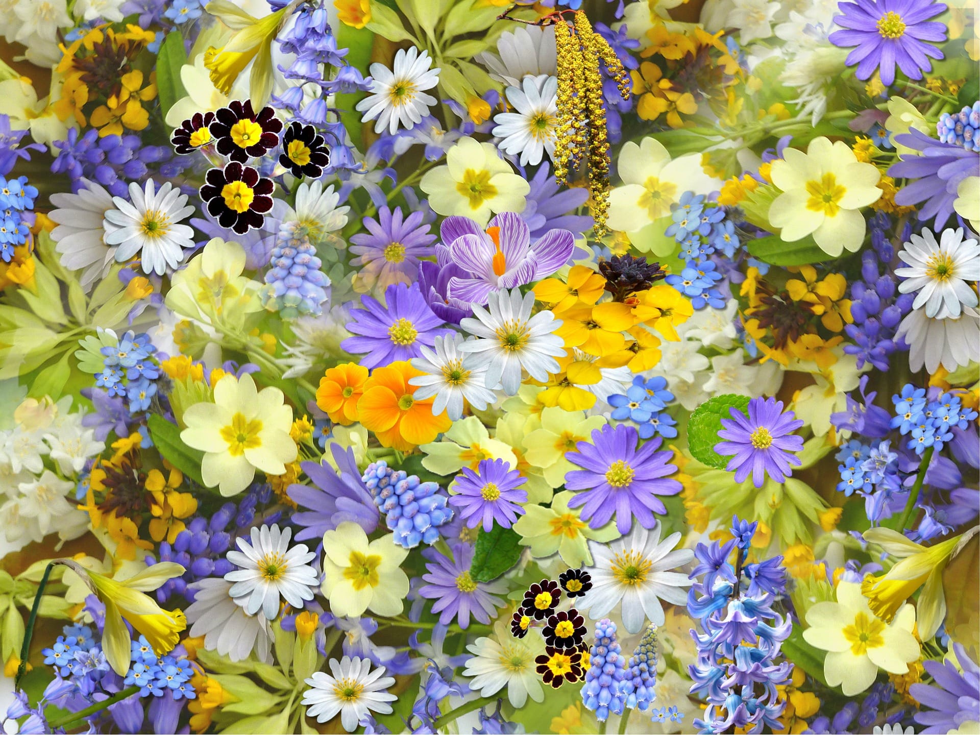 Living Creatively with Fibro | Floral Colour Therapy