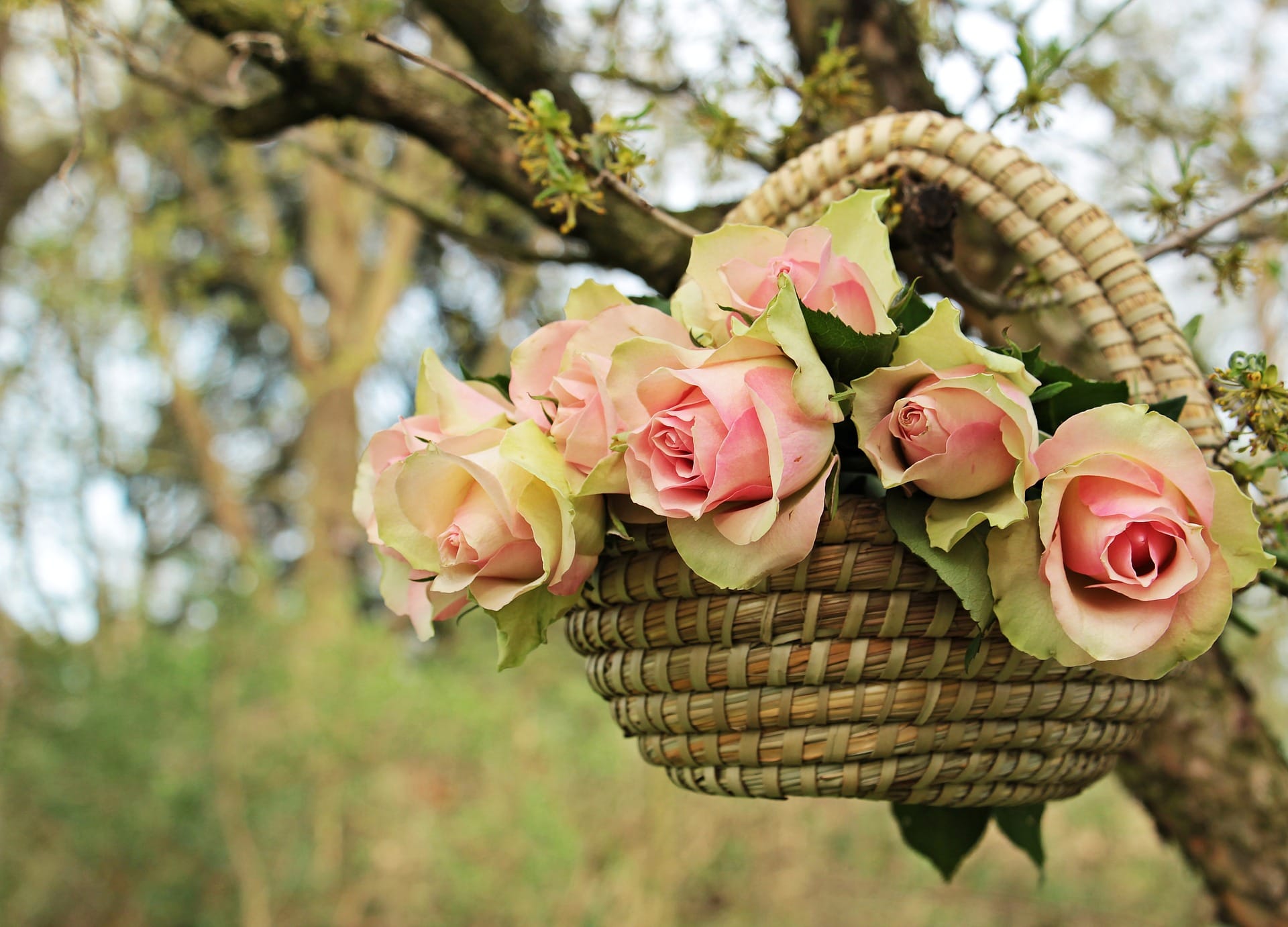 Living Creatively with Fibro | Lily Rose Basket